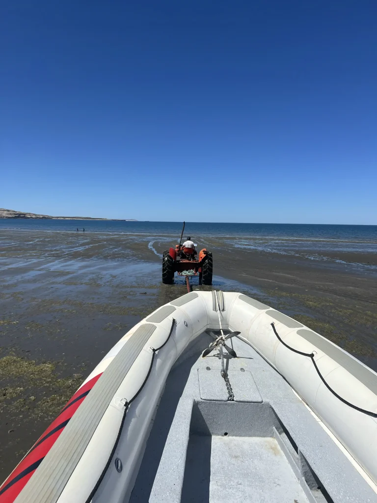 Activité : plonger sous marine